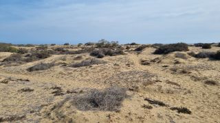 2023-GC--Mapalomas dunas-S123-218.jpg